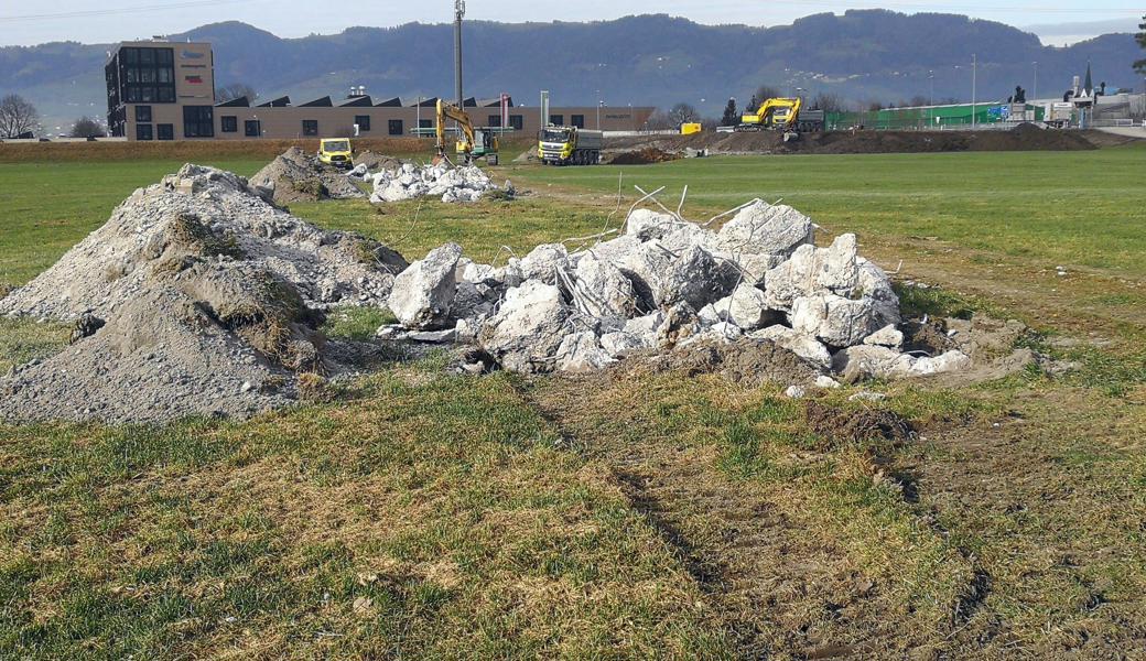 Die 2012 im Rheinvorland vorläufig belassenen Brückenpfeiler wurden bereits kurz vor Weihnachten rückgebaut.