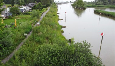Der letzte Akt im Dauerknatsch: Die langwierige Geschichte des «Rhiweg»