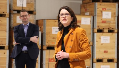 Die Bilder von der FDP-Neujahrsbegrüssung