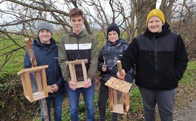 Schülerinnen und Schüler errichteten einen Laternliweg