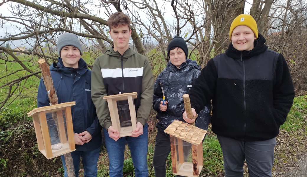 Schüler beim Aufstellen der Laternen