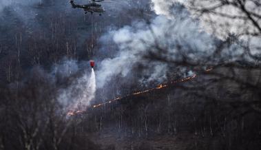 Waldbrandgefahr nimmt zu