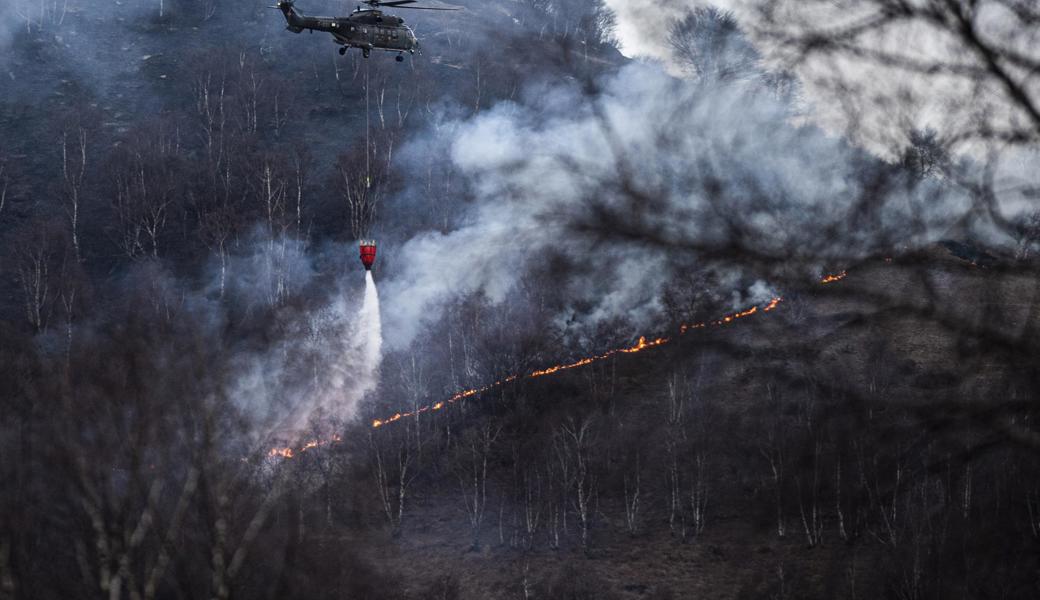 Im vergangenen Januar wütete ein Waldbrand in den Hügeln von Gambarogno am Lago Maggiore tagelang.