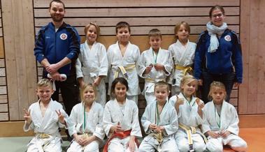 Medaillen für die Judokas
