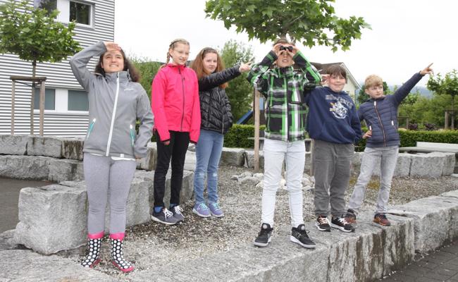 39 Vogelarten in Rheintaler Gärten