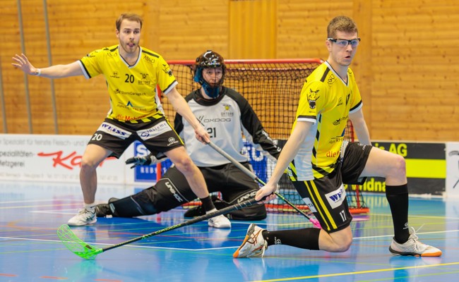 Rheintal Gators schliessen die Regular Season auswärts ab