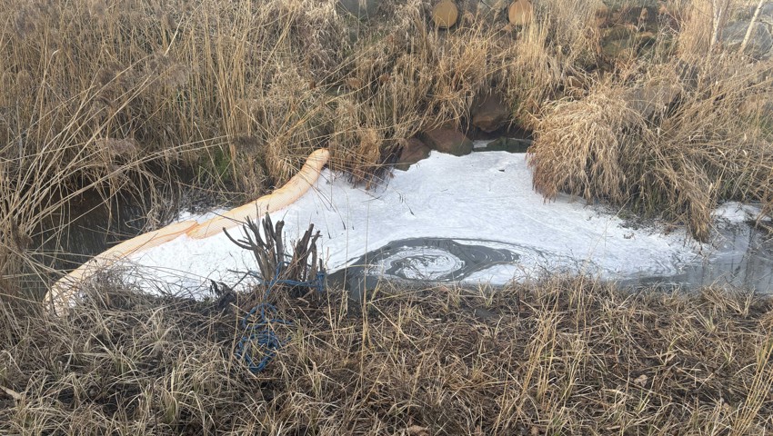 Löschschaum im Seegraben: Bachsperren für die nächsten Tage erstellt
