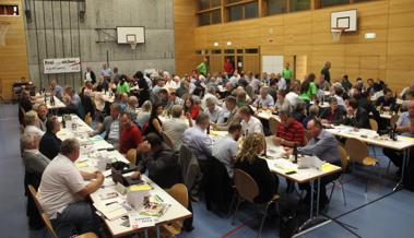 Die SVP will es «packen»
