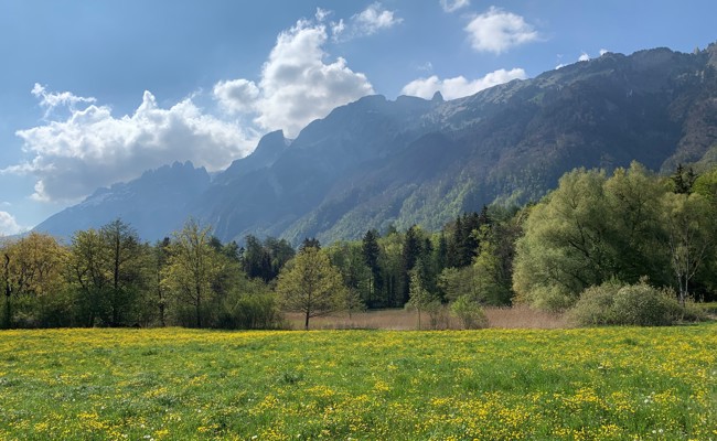 Im Herbst ist Baustart: Pro Natura wertet Egelsee auf