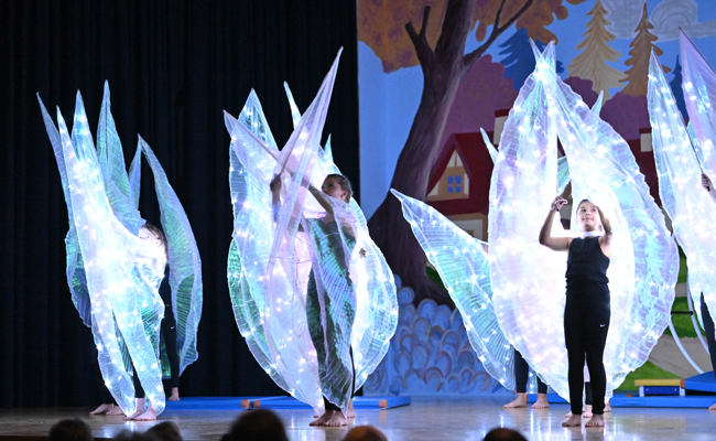 Der TSV Montlingen nahm das Publikum mit auf eine heitere Reise in die Märchenwelt