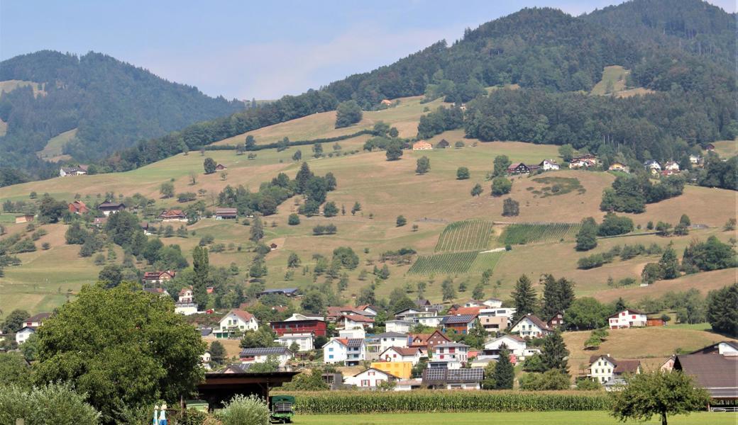 So sieht es Anfang August oberhalb von Lüchingen und Marbach aus.