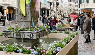 Brünnele statt Gartenschau: Das Städtli erhält doch noch ein Frühlingskleid
