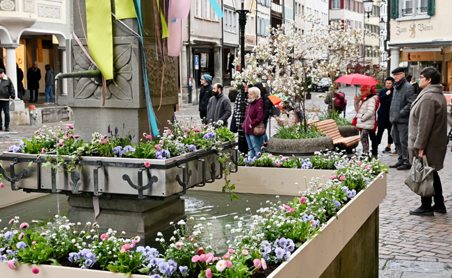 Brünnele statt Gartenschau: Das Städtli erhält doch noch ein Frühlingskleid