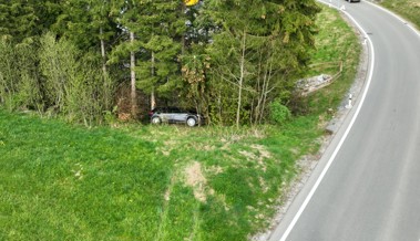 30-jähriger Autofahrer verliert die Kontrolle über sein Fahrzeug und schleudert bis zum Waldrand