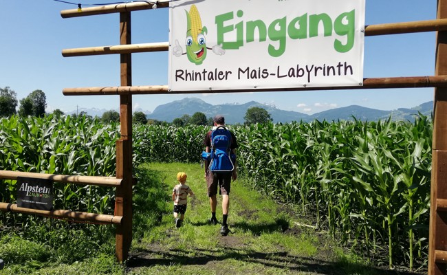 Das RhyLa macht Pause: Dieses Jahr gibt es kein Mais-Labyrinth