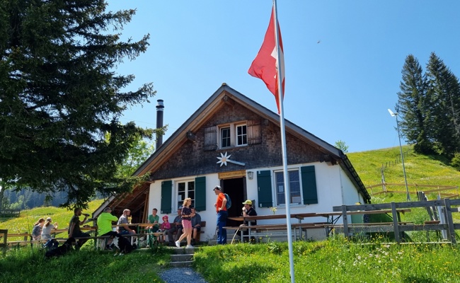Auf der Alp Schwamm müssen neue Wirte im Sommer Rinder betreuen und Gäste bewirten
