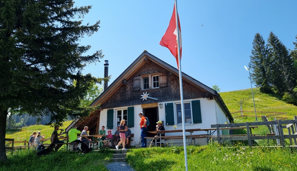 Auf der Alp Schwamm müssen neue Wirte im Sommer Rinder betreuen und Gäste bewirten