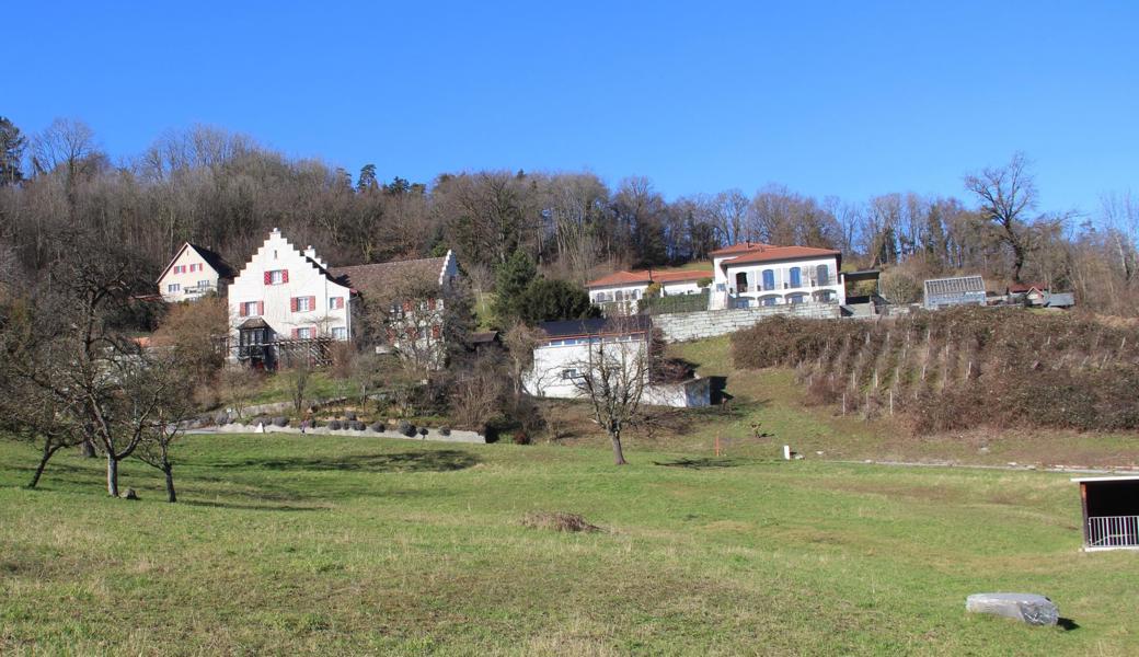 Blick aus Richtung Schloss Heerbrugg über den Sonnenberg. Hier sollen grosse kubische Gebäude entstehen. Blick aus Richtung Schloss Heerbrugg über den Sonnenberg. Hier sollen grosse kubische Gebäude entstehen.