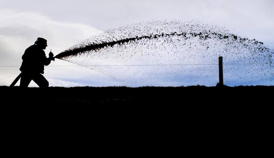 Kann der Ammoniakeintrag nicht auf ein naturverträgliches Mass reduziert werden, fordert Meinrad Gschwend eine Reduktion des Viehbestands.