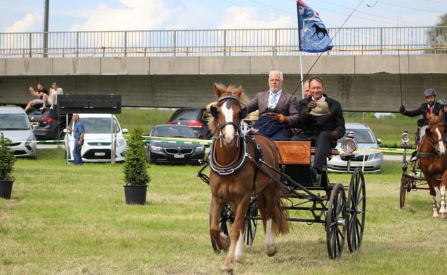 Rasante Kjöring-Fahrten und siegreiches Heimteam