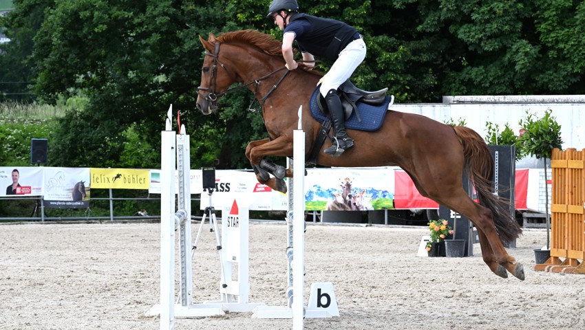 Der Montlinger Gabriel Benz musste, wie zwei weitere Reiter seiner Equipe, Fehlerpunkte in Kauf nehmen. Der RV Oberriet wurde Neunter. Der Montlinger Gabriel Benz musste, wie zwei weitere Reiter seiner Equipe, Fehlerpunkte in Kauf nehmen. Der RV Oberriet wurde Neunter.