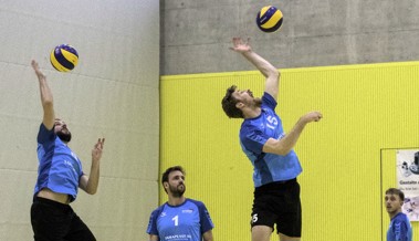Rheno-Fanionteams spielen zum Abschluss des Jahres auswärts