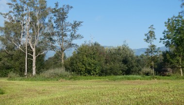 Verein Schwalbe zeigt bei Führungen das Naturreservat Burst und lädt zur Hauptversammlung ein