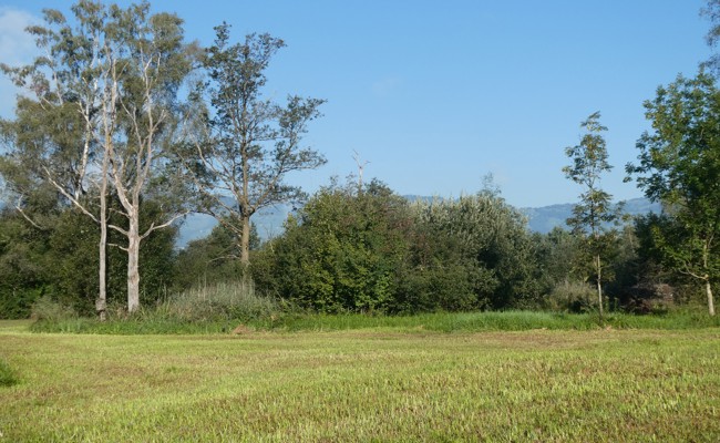 Verein Schwalbe zeigt bei Führungen das Naturreservat Burst und lädt zur Hauptversammlung ein