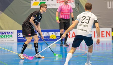 Rheintal Gators starten mit anspruchsvoller Doppelrunde ins Jahr 2026