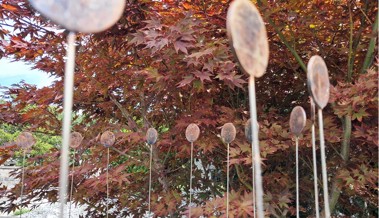Ausstellung im Stellwerk: René Düsels Kunst verbindet Licht, Form und Natur