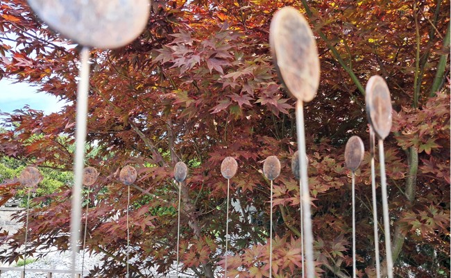 Ausstellung im Stellwerk: René Düsels Kunst verbindet Licht, Form und Natur
