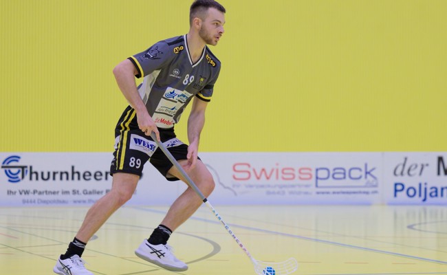 Rheintal Gators starten in die entscheidende Phase der Saison