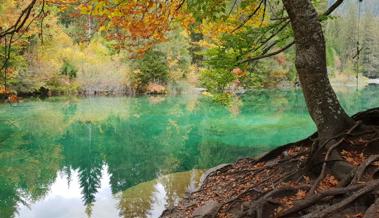 Hier sind die schönsten Herbst-Leserbilder