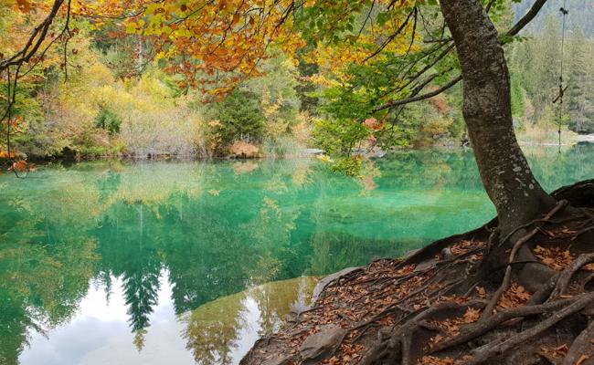 Hier sind die schönsten Herbst-Leserbilder