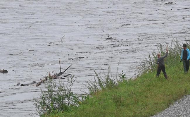 Die Holzer zog es an den Rhein