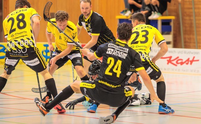 Rheintal Gators mit einem Cupspiel mitten in der Sommerpause