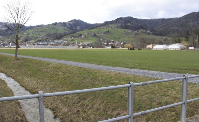 Verständnis bewahrt nicht vor Widerstand