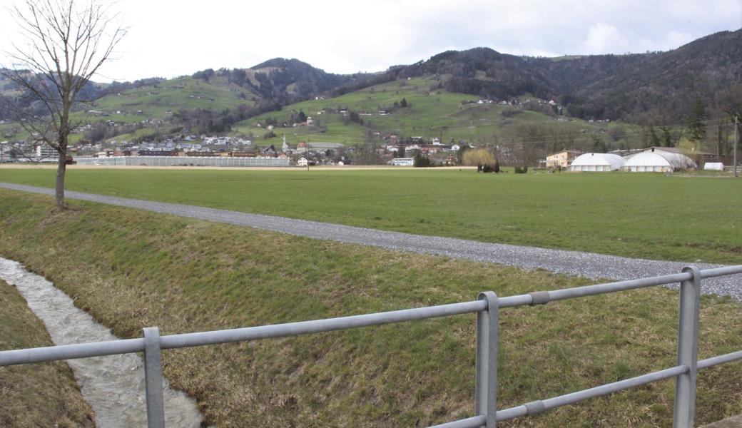 Für diese Wiese zwischen SBB-Bahnlinie und Schachenstrasse (mit der Seven-Überbauung) ist ein Kreisel vorgesehen.