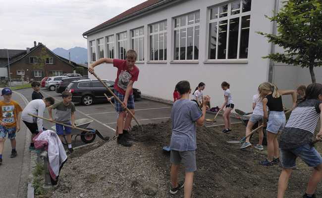 Schulen setzen sich für naturnahe Aussenräume ein