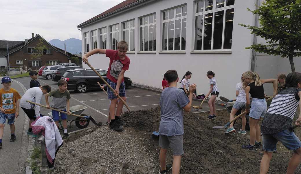 Schulkinder in Hinterforst säen auf dem Schulgelände eine Blumenwiese an. 