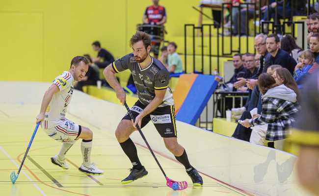 Die Gators bestreiten ein Heimspiel mit Derbycharakter