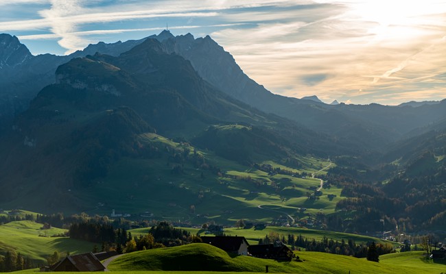 Licht und Schatten bei Schweizer Unternehmen