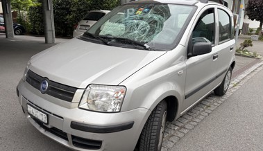 Beim Überqueren der Strasse: Mann mit Blindenhund von Auto angefahren