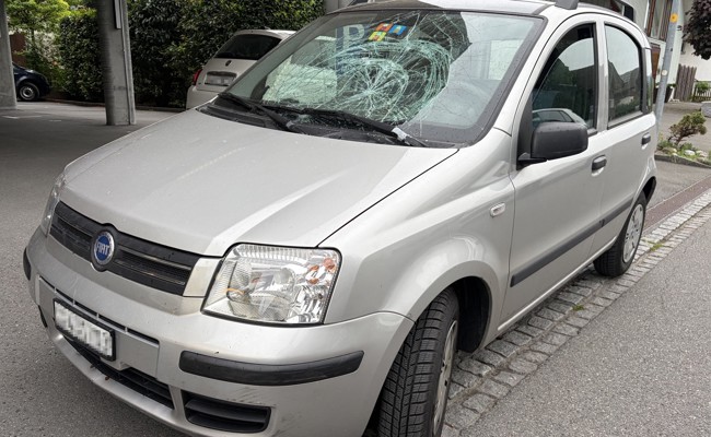 Beim Überqueren der Strasse: Mann mit Blindenhund von Auto angefahren