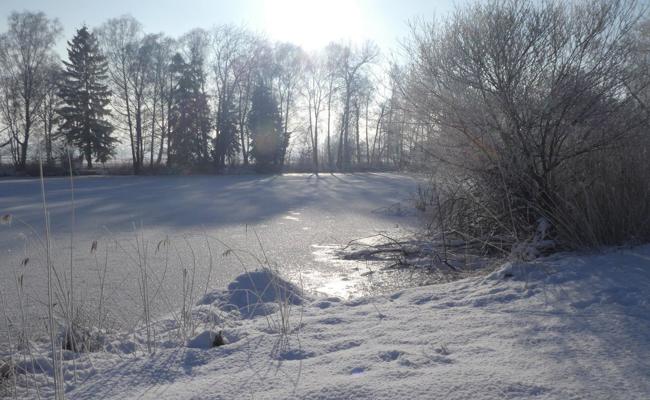 Ein Wintermorgen am Moosanger