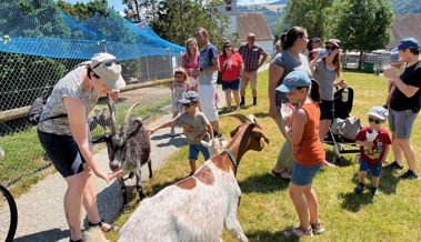 Zoofest mit neuem Geissenstall und schützenden Sonnendächern