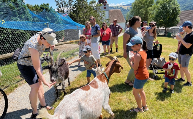 Zoofest mit neuem Geissenstall und schützenden Sonnendächern