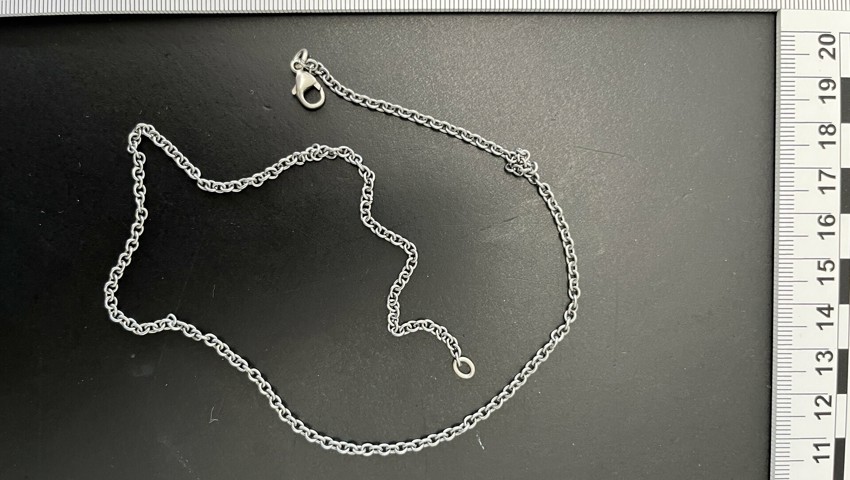 Sicherstellung E 1.21 Halskette Sicherstellung E 1.21 Halskette