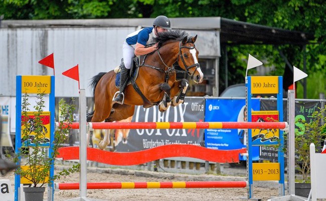 Vereinscup-Final und weitere spannende Springsport-Momente am Herbstspringen in Altstätten