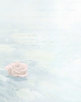 Schwimmende Rose